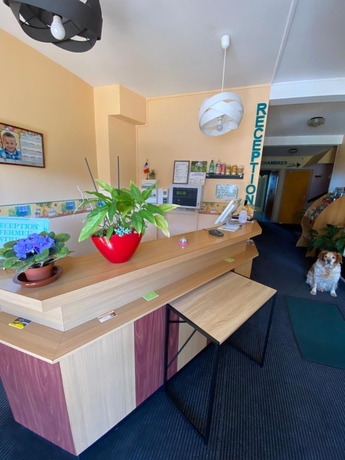 Imagen de la habitación del Hotel Le Lyon Vert. Foto 15