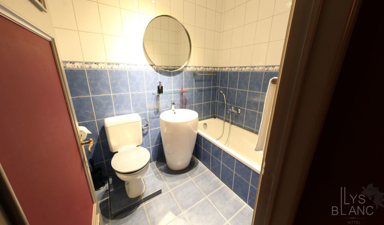 Imagen de la habitación del Hotel Le Lys Blanc. Foto 3