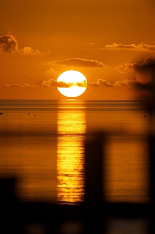 Imagen de los exteriores del Hotel Le Maitai Rangiroa. Foto 13