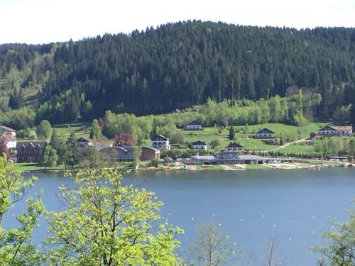 Imagen de la habitación del Hotel Le Manoir Au Lac. Foto 5