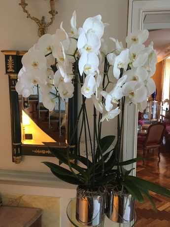 Imagen de los interiores del Hotel Le Manoir Les Minimes. Foto 19