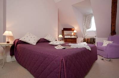 Imagen general del Hotel Le Manoir Saint Thomas. Foto 3