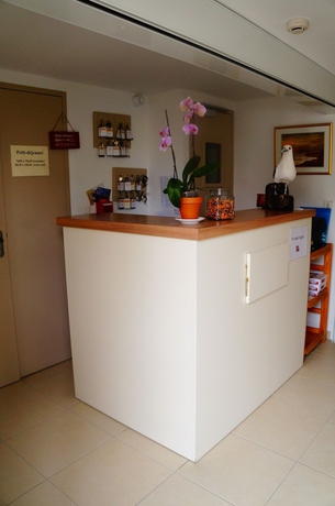 Imagen de los interiores del Hotel Le Marina. Foto 19