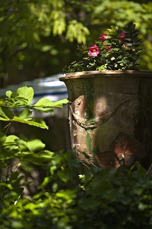 Imagen general del Hotel Le Mas D'entremont. Foto 3