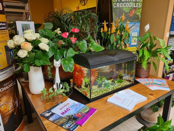 Imagen general del Hotel Le Mas de l\'Olivier. Foto 13