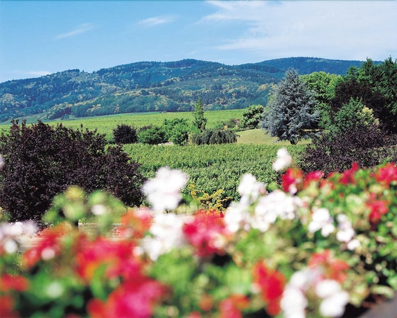 Imagen de los exteriores del Hotel Le Ménestrel. Foto 13