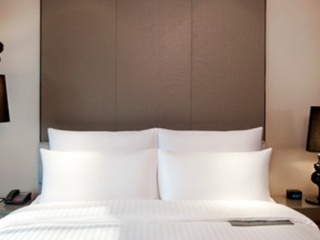 Imagen general del Hotel Le M&eacute;ridien Chongqing, Nan'an, Chongqing. Foto 14