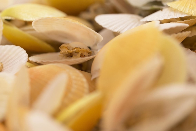 Imagen del bar/restaurante del Hotel Le Méridien Noumea Resort and Spa. Foto 5