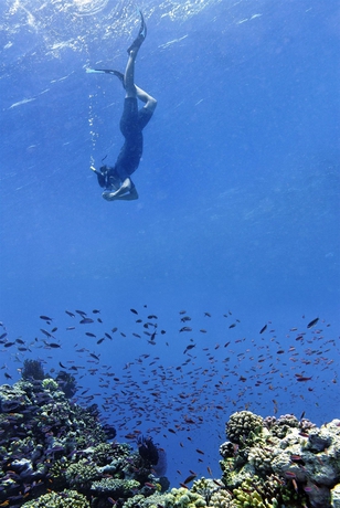 Imagen de los exteriores del Hotel Le Méridien Noumea Resort and Spa. Foto 10