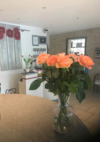 Imagen de los interiores del Hotel Le Mediterran&eacute;e. Foto 19