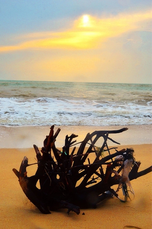 Imagen de los exteriores del Hotel Le Menara. Foto 16