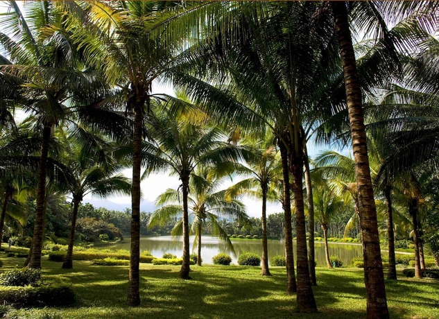 Imagen de la habitación del Hotel Le Meridien Shimei Bay Beach Resort and Spa. Foto 13