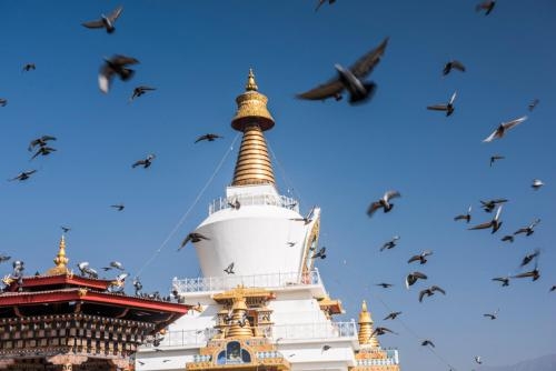 Imagen general del Hotel Le Meridien Thimphu. Foto 5