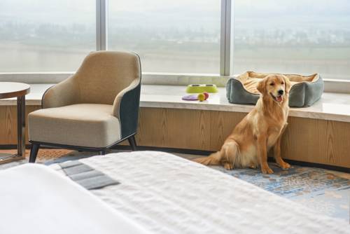 Imagen de la habitación del Hotel Le Meridien Xi'an Chanba. Foto 4