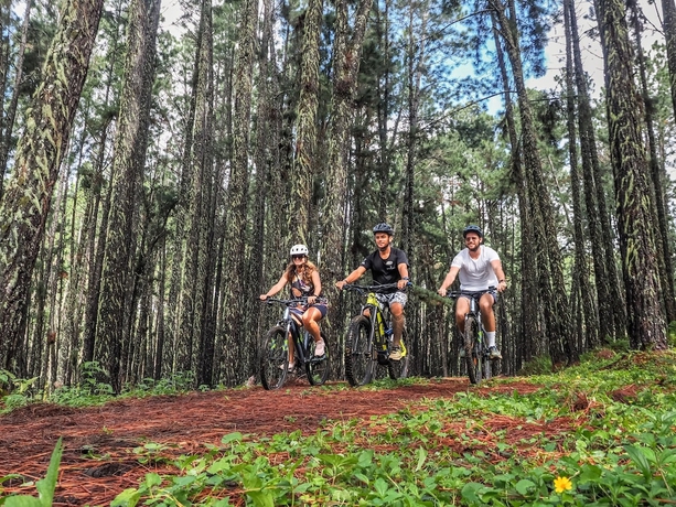 Imagen general del Hotel Le Nuku Hiva by Pearl Resorts. Foto 3