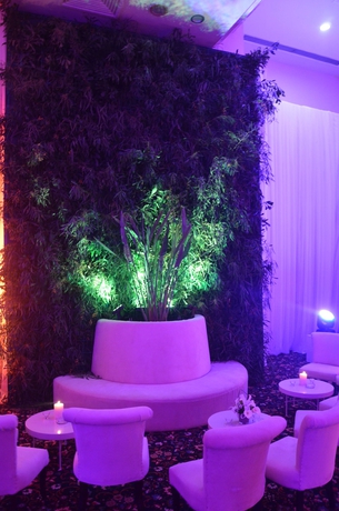 Imagen de los interiores del Hotel Le Palace, La Marsa. Foto 5