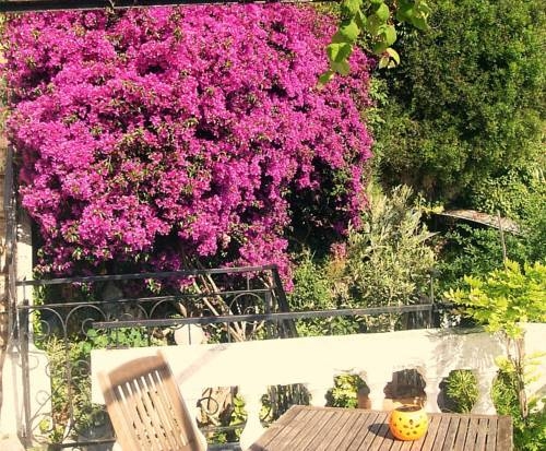 Imagen general del Hotel Le Panoramic Boutique. Foto 7