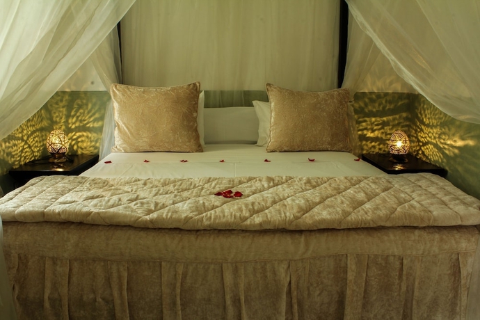 Imagen de la habitación del Hotel Le Pavillon Oriental. Foto 12