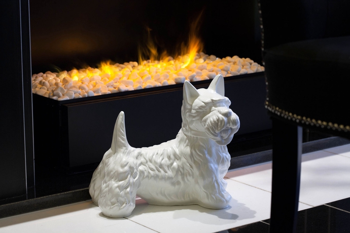 Imagen de los interiores del Hotel Le Petit Madeleine Hotel. Foto 12