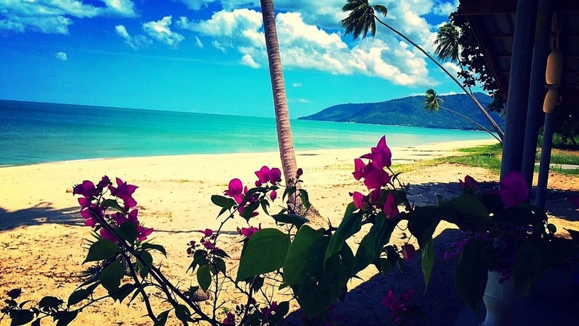 Imagen de los exteriores del Hotel Le Petit Saint Tropez. Foto 15