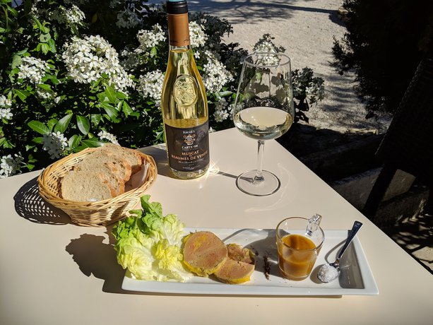 Imagen del bar/restaurante del Hotel Le Pradet. Foto 5