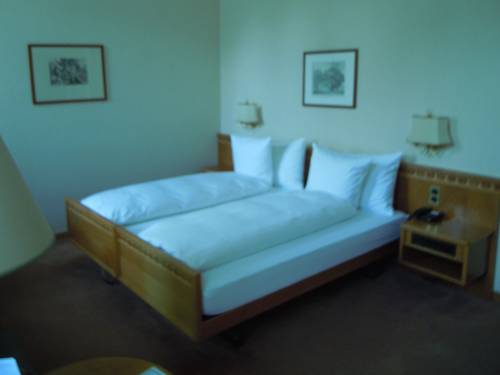 Imagen de la habitación del Hotel Le Prese. Foto 2