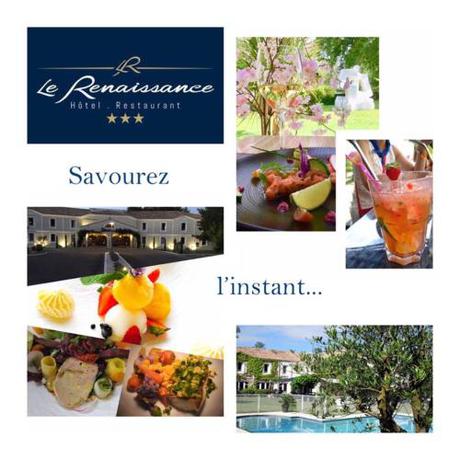 Imagen general del Hotel Le Renaissance, Mont de Marsan. Foto 3