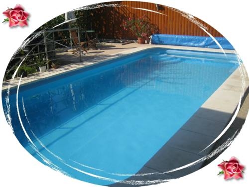 Imagen general del Hotel Le Rose. Foto 15