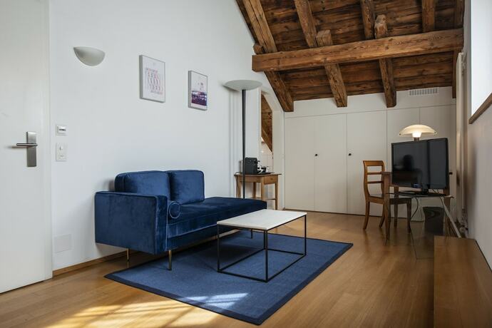 Imagen general del Hotel Le Sauvage, Friburgo. Foto 11