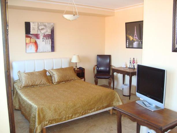 Imagen general del Hotel Le Sauvage, Tournus. Foto 6