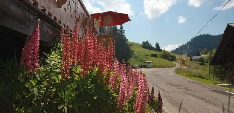 Imagen general del Hotel Le Tétras. Foto 8