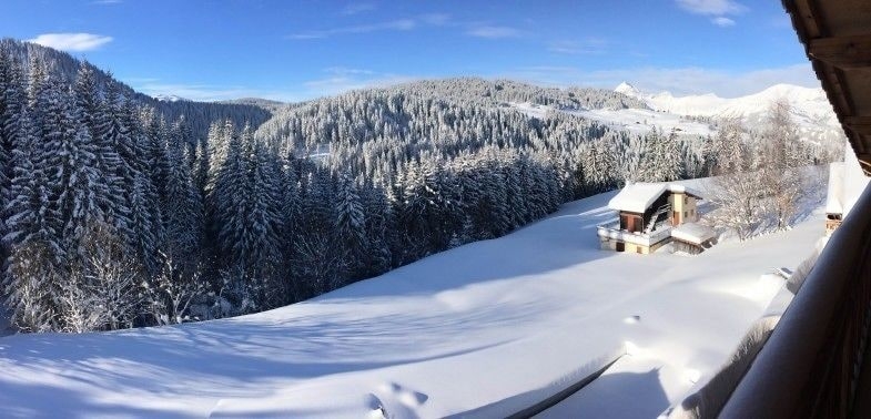 Imagen general del Hotel Le Tétras. Foto 2