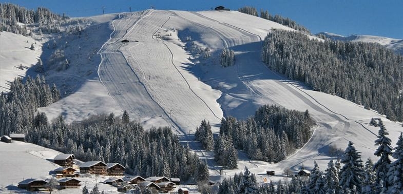 Imagen general del Hotel Le Tétras. Foto 6