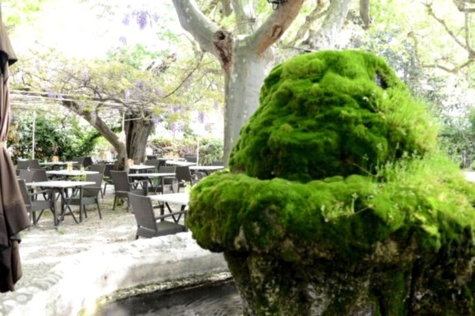 Imagen general del Hotel Le Terminus, Sénas. Foto 2