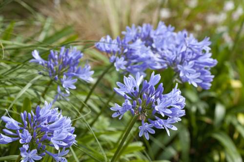 Imagen de la habitación del Hotel Le Village Cancalais. Foto 12
