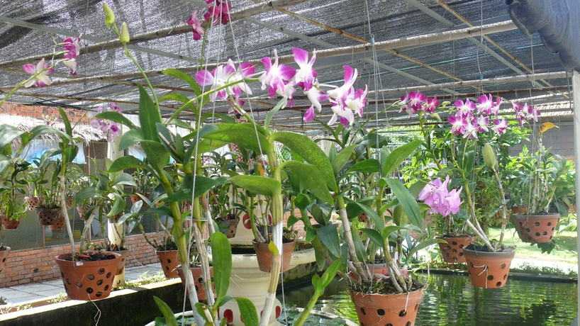 Imagen de los exteriores del Hotel Le Viva Mui Ne Resort. Foto 11