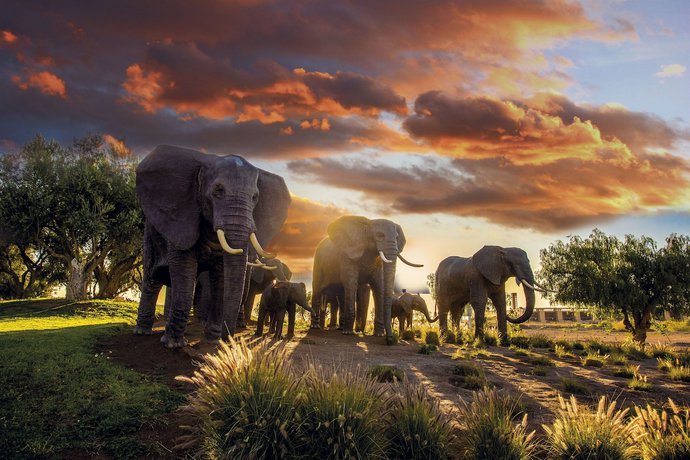 Imagen de los interiores del Hotel Le Vizir Center Parc and Resort. Foto 10