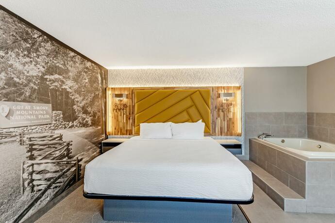 Imagen general del Hotel LeConte View Motel. Foto 4