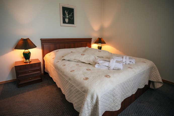 Imagen de la habitación del Hotel Leader. Foto 11