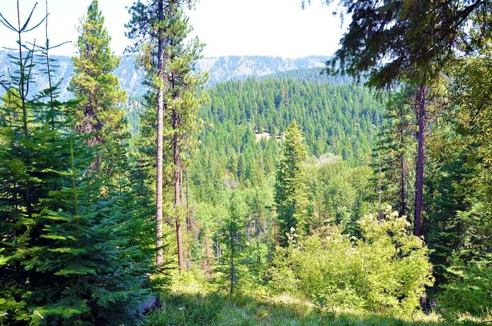 Imagen general del Hotel Leavenworth Rv Campground. Foto 8