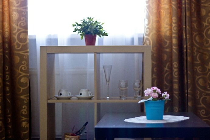 Imagen general del Hotel Lebedushka Na Engelsa. Foto 11