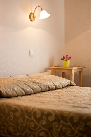 Imagen de la habitación del Hotel Lebedushka Na Engelsa. Foto 13