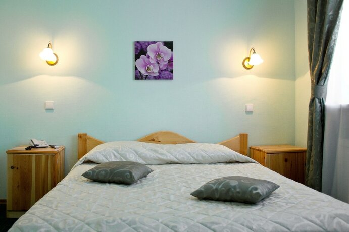 Imagen de la habitación del Hotel Lebedushka Na Engelsa. Foto 24