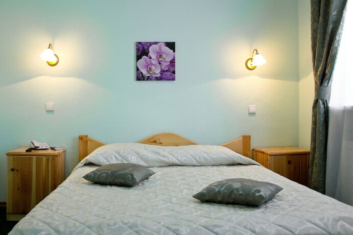 Imagen de la habitación del Hotel Lebedushka Na Engelsa. Foto 26