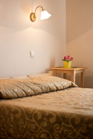 Imagen de la habitación del Hotel Lebedushka Na Engelsa. Foto 30