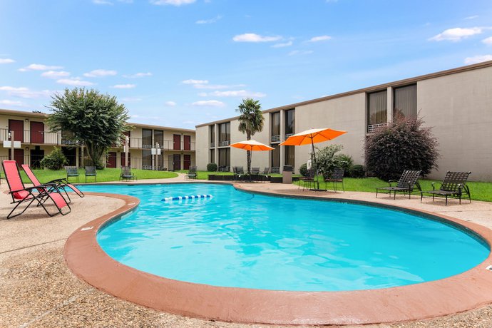 Imagen de la piscina del Hotel Lebossier. Foto 19