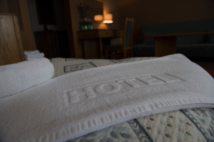 Imagen de la habitación del Hotel Lech, Poznań. Foto 7