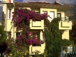 Imagen general del Hotel Leda. Foto 1