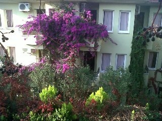 Imagen general del Hotel Leda. Foto 3