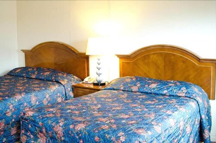 Imagen de la habitación del Hotel Lee High Inn. Foto 10